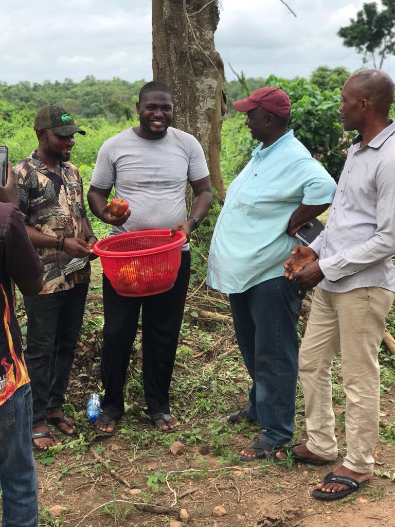 okoreuchenna's tweet photo. I visited Azplive Farms, Ogun state yesterday to see the productivity of our Redjet RZ F1. We counted over 10 fruits after 2 major harvest. Mr Andrew is happy with the productivity, size, shelf life of Redjet.  We make farmers happy.#bellpeppers #farming #rijkzwaan #Nigeria #farm https://t.co/731kJyDUvb
