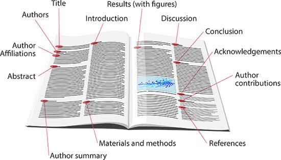 OACerebro's tweet photo. Diez consejos para leer un artículo científico:
 
1.    Comience por la introducción en lugar del resumen. El resumen es una sección compleja del artículo científico. A menudo, es lo único que muchas personas leen para formarse una opinión, lo cual es una idea lamentable y no recomendable. Esto solo aplica para las revisiones sistemáticas y suele ser realizado por expertos en el tema.
 
2.    Identifique cuál es la pregunta principal que los autores intentan responder en el artículo y cómo lo abordan. No se trata solo de entender de qué trata el artículo, sino de comprender cuál es el problema que están tratando de resolver y cómo lo hacen. Lea cuidadosamente los métodos y el diseño experimental utilizados.
 
3.    Realice un resumen del contexto en menos de cinco frases. Puede guiar su resumen respondiendo preguntas como: ¿Existen trabajos previos que hayan intentado responder a la pregunta principal? ¿Cuáles son las limitaciones de esos trabajos? ¿Cuáles son los próximos pasos en esta línea de investigación?
 
4.    Identifique las preguntas específicas que los autores están tratando de responder con su investigación. Puede haber varias preguntas o solo una. Anótelas. En el caso de investigaciones con hipótesis nulas, identifíquelas también.
 
5.    Identifique el enfoque del artículo. Es decir, qué métodos y estrategias utilizaron los autores para responder a las preguntas específicas planteadas.
 
6.    Lea los resultados y escriba uno o varios párrafos para resumir cada experimento, figura y tabla presentados en el artículo. No intente interpretar los resultados en esta etapa, simplemente enumérelos.
 
7.    Pregúntese si los resultados responden a las preguntas específicas planteadas inicialmente. Reflexione sobre el significado de los resultados antes de avanzar en la lectura.
 
8.    Lea la discusión, las conclusiones y la interpretación del estudio realizada por los autores. Compare sus propias interpretaciones con las de los autores y analice si está de acuerdo con ellas. Pregúntese si se le ocurre alguna otra forma alternativa de interpretar los resultados y si los autores identifican debilidades en su propio estudio.
 
9.    Vuelva al principio y lea el resumen. Verifique si coincide con las ideas y conclusiones que plantean los autores en el artículo. Compruebe si su interpretación concuerda con lo que los autores afirman.
 
10. Por último, pero no menos importante, investigue qué opinan otros investigadores sobre este artículo. Identifique quiénes son los expertos reconocidos o autoproclamados en este campo específico y averigüe si tienen opiniones adicionales o corroboran las conclusiones del estudio.

La ciencia es fascinante, ¡nunca deje de leer!