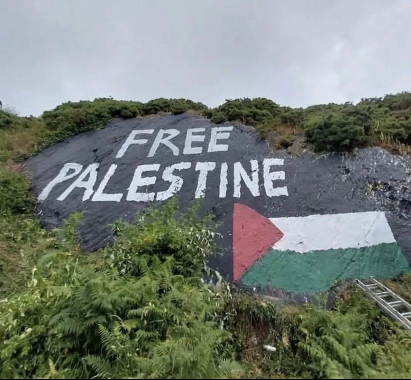 AyaGazan's tweet photo. Seen in Ireland 🇮🇪🇵🇸
#FreePalestine https://t.co/ir6MQljqia