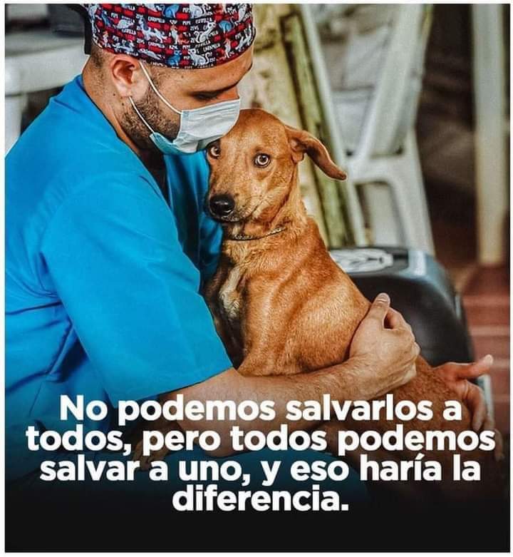 GRamirezF_D12's tweet photo. Buenos días Feliz viernes 🐾🐶❤️ https://t.co/HTuAtTyQpc