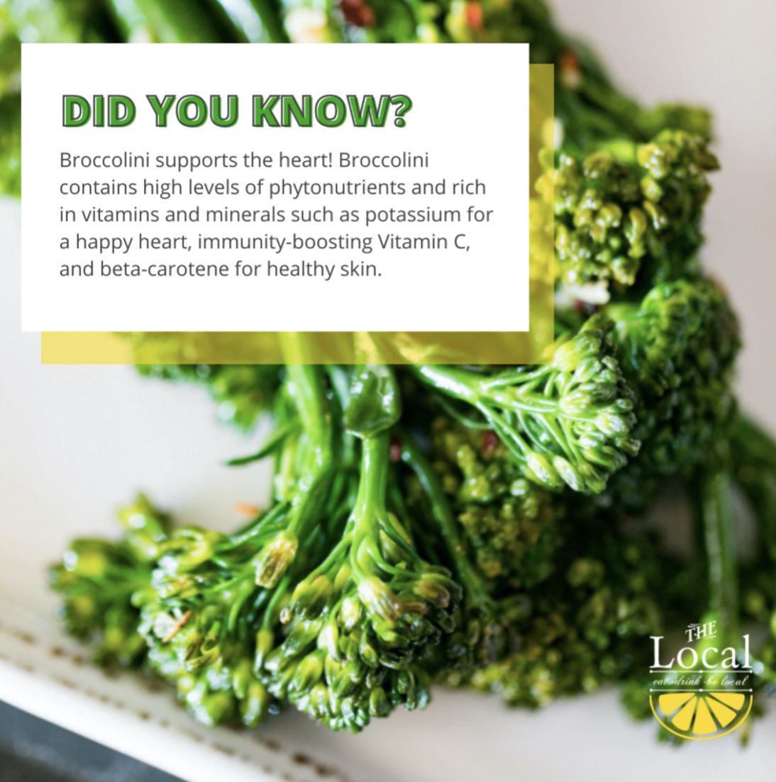 thelocalnaples's tweet image. #FoodFactFriday 🥦 Broccolini is also a “no-waste” veggie, meaning it is completely edible and you do not have to cut or waste any part of the vegetable! 

Naples FL, Farm-to-table, locally sourced, sea-to-table, Naples Florida
#AlwaysLocal #AlwaysFresh #thelocalnaples #inthe239