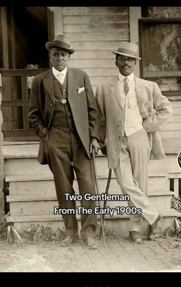 saforthwith tweet media