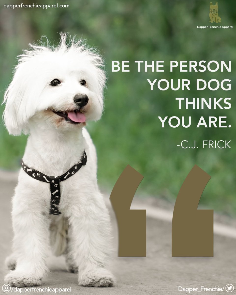 “Be the person your dog thinks you are.” 🐶 🐾
-C.J. Frick

Explore our collection and make your dog's world a fashionable and cozy place to be!
➡️ dapperfrenchieapparel.com

#doglover #dogquotes #fashionfordogs #cozypetworld #dapperfrenchieapparel #fashionablepets #petfashion