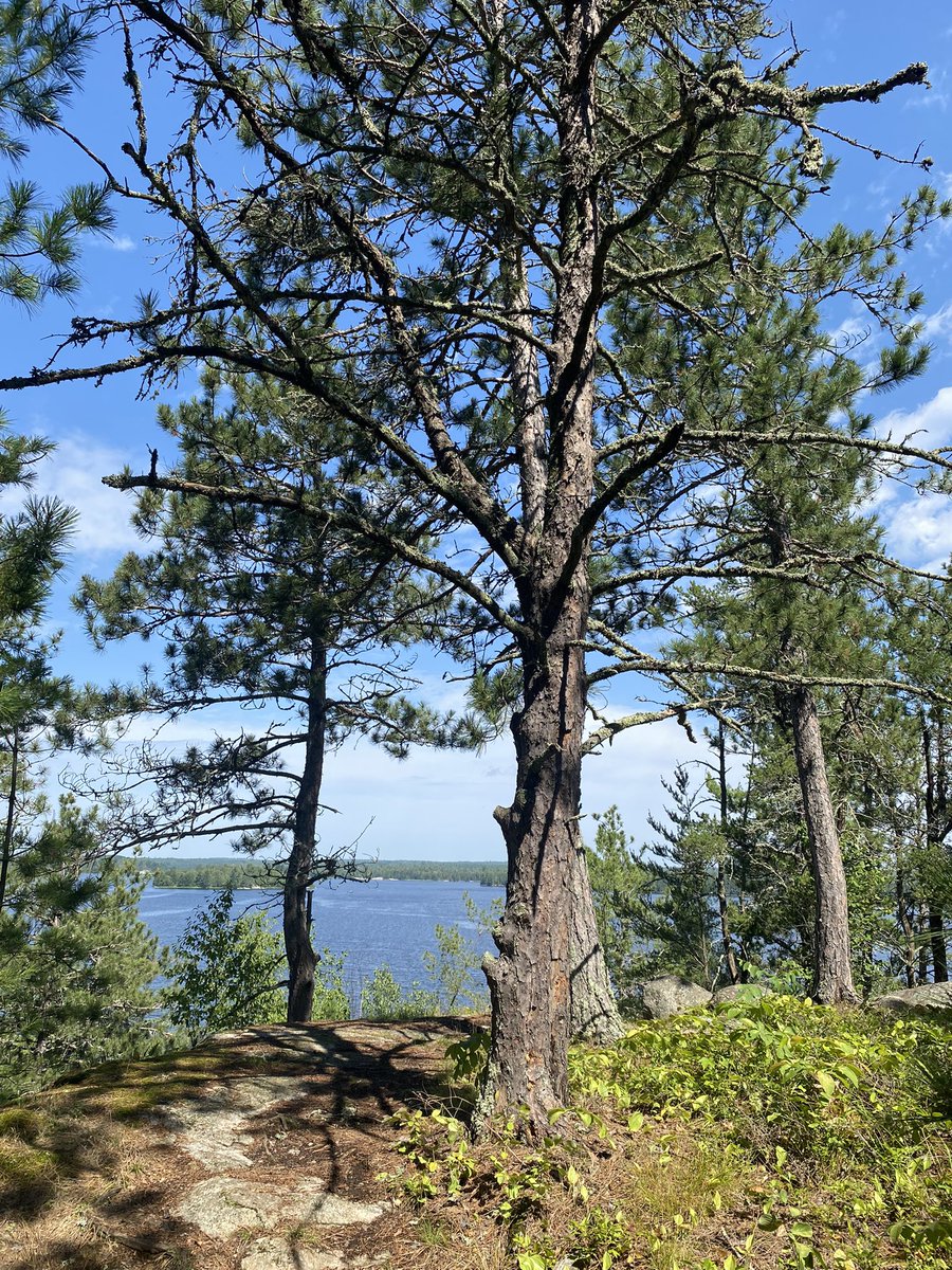 VoyageursCLV's tweet photo. Encore des explorations! Exploring another new trail - Blind Ash Bay https://t.co/DAfxKOZFVs