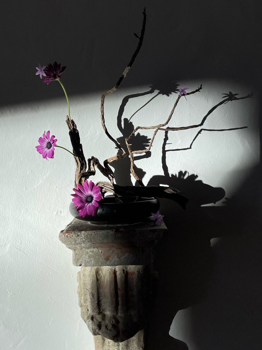 boyandflowers's tweet photo. Boy with flowers https://t.co/Pv1YFvD08n