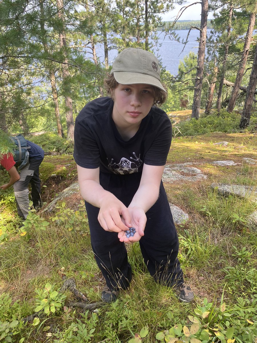 VoyageursCLV's tweet photo. Chercher les bluets! More blueberries! https://t.co/t4wJNSZV54