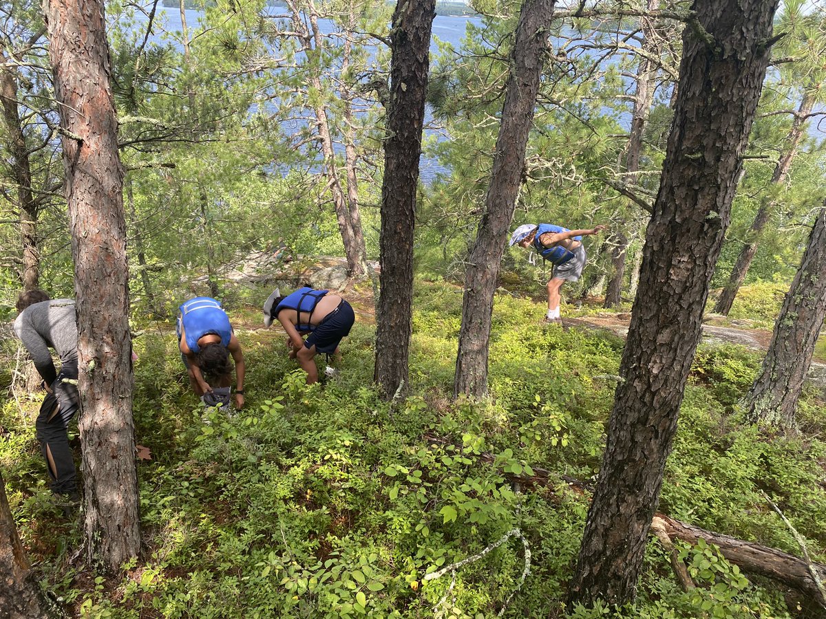 VoyageursCLV's tweet photo. Chercher les bluets! More blueberries! https://t.co/t4wJNSZV54