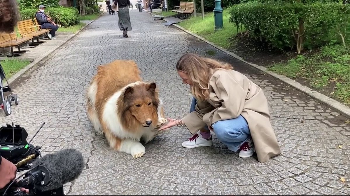 CNNBrasil's tweet photo. Japonês que gastou R$ 70 mil para se "transformar" em cachorro faz 1º passeio; veja https://t.co/p8hzKCL7kL https://t.co/rLSUtl3QiL