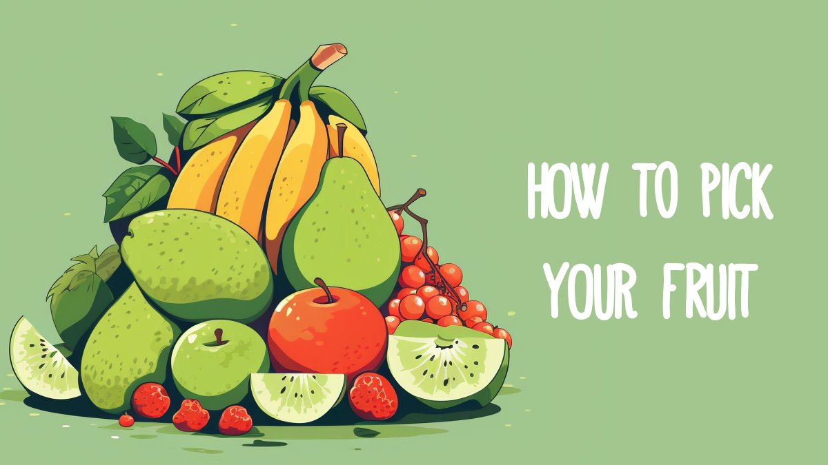 Ever wanted to get #FruitForTheOffice but didn't know where to start? We've got you covered. Click the link to find out all you need to know!
fruitfortheoffice.co.uk/blog/post/how-…
#Fruit #OfficeFruit #OfficeFruitForLondon #LondonFruitDelivery #Fruitful #Offices