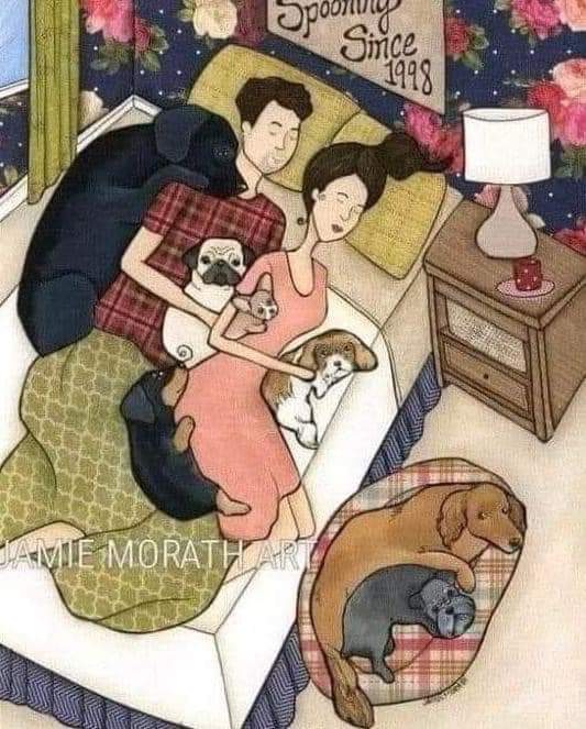 RD007forAnimals's tweet photo. @narendramodi
Animals r our children,No law of this universe can or should allow kidnapping of our kids in the name of welfare.
पशु हमारे बच्चे हैं. इस ब्रह्मांड का कोई भी कानून कल्याण के नाम पर हमारे बच्चों के अपहरण की अनुमति नहीं दे सकता है और न ही देना चाहिए।
#SayNoToDogPounds https://t.co/klrE5sGSPl