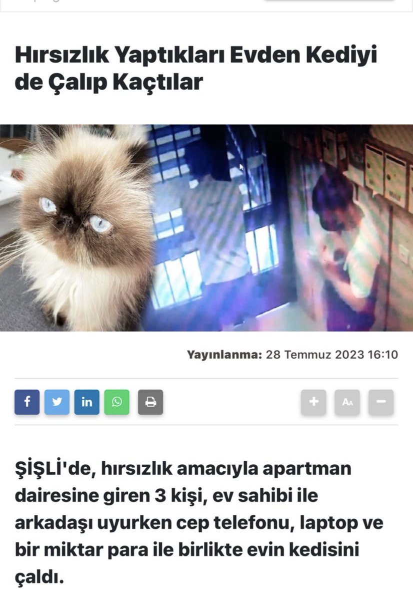 Tüm İstanbul pet shoplar,veterinerler  bilginize,bu bir acil durum çağrısıdır,Bulun bu at hırsızlarını.