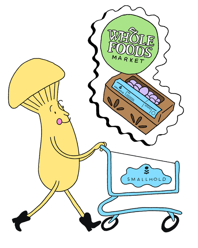 The mycelial network is expanding... our fresh mushrooms are now available across the country in EVERY. SINGLE. <a href="/WholeFoods/">Whole Foods Market</a> MARKET in the continental US! Find one near you on our map: smallhold.com/pages/where-to…