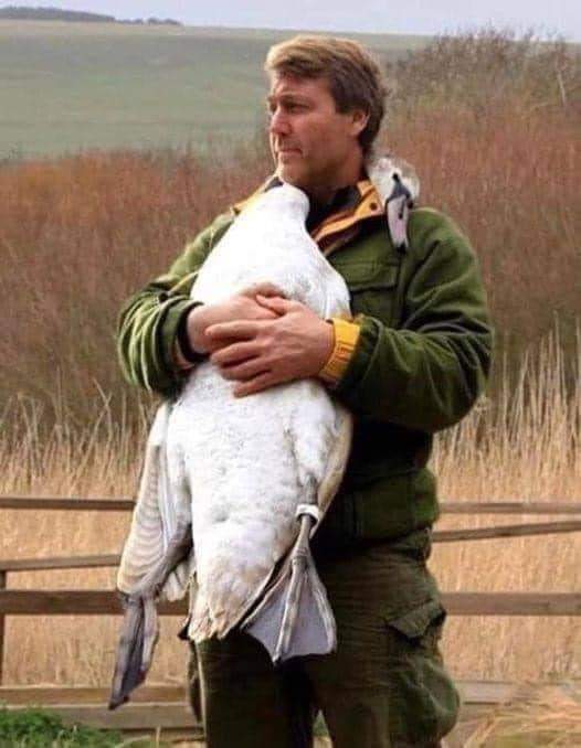 He released the swan that was hooked to a net and momentarily held him in his arms and felt his heartbeat gradually calming, then the swan wrapped his neck to his.
How precious it is to feel the trust of an animal.
Credit: Born To Explore💚