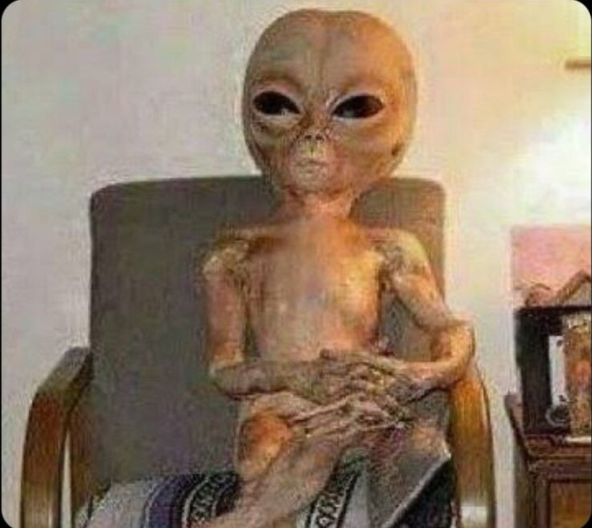 jcarlos2001's tweet photo. Llegas a tu casa y te lo encuentras sentado en tu sala.
¿Que harias? https://t.co/Ytr4VkgHzK
