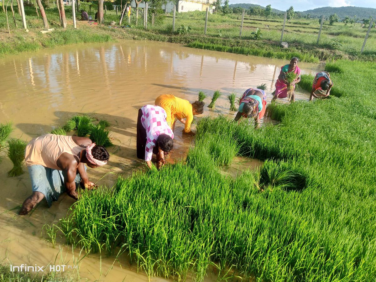 Official Divine Onkar Mission tweet media