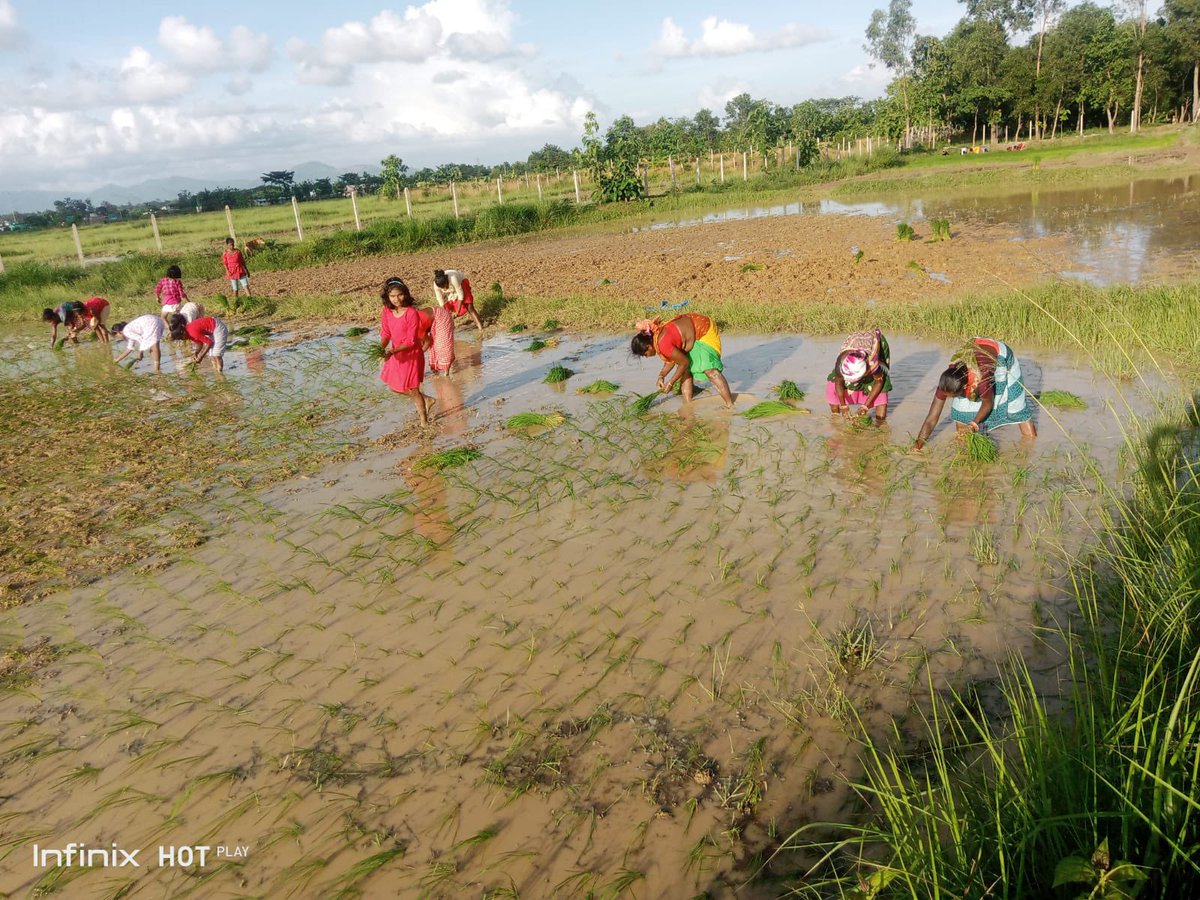 Official Divine Onkar Mission tweet media