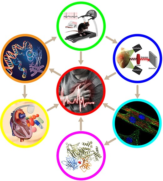 CarolRemme's tweet photo. #EUROPACE_FRESH_OFF_THE_PRESS #EPeeps
Arrhythmogenic mechanism of a novel ryanodine receptor mutation underlying #SuddenCardiacDeath studied on animal, whole heart and cardiomyocyte level
https://t.co/8ynKQ6oFL7
@EuropaceEiC #basicEP #RYR2 #arrhythmia #CPVT #cardiogenetics https://t.co/2F0Mgwcw4z