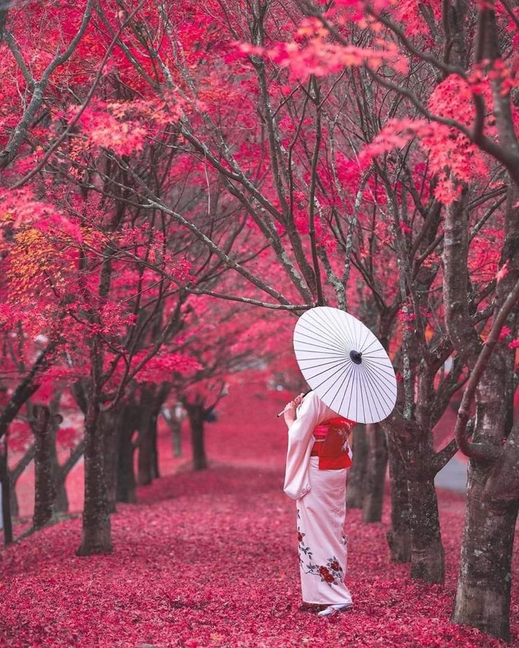 h e l e n a ☃️🌸🍁 tweet media
