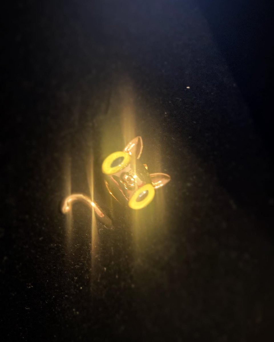 Rafatal_Robles's tweet photo. Inmensamente feliz con mi nuevo anillo Günter de #JavierCalleja by @rodalmayate 
Es una maravilla para tod@s l@s que estamos enamorad@s de #MrGünterTheCatShow de las joyas de #RodAlmayate de #CallejaStudio de Javi y de Ali…
😻💛
#InmensamenteFeliz ❤️ https://t.co/o69uq2STqD
