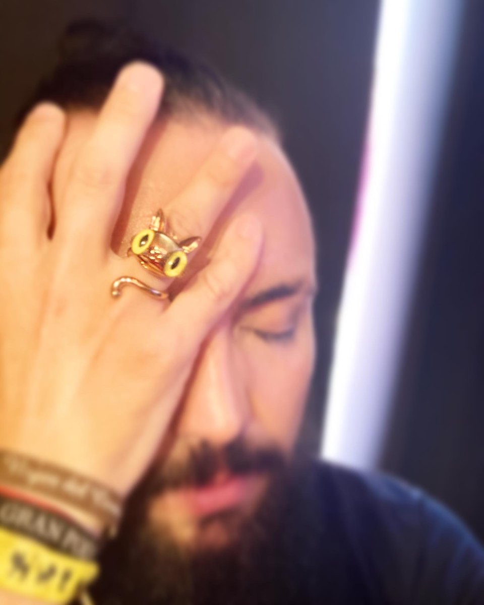 Rafatal_Robles's tweet photo. Inmensamente feliz con mi nuevo anillo Günter de #JavierCalleja by @rodalmayate 
Es una maravilla para tod@s l@s que estamos enamorad@s de #MrGünterTheCatShow de las joyas de #RodAlmayate de #CallejaStudio de Javi y de Ali…
😻💛
#InmensamenteFeliz ❤️ https://t.co/o69uq2STqD