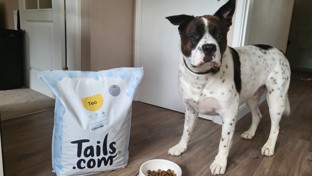 RSSPIC's tweet photo. @tailsdogfood New food has gone down a treat 😋 https://t.co/NR0A1ZHlZ4