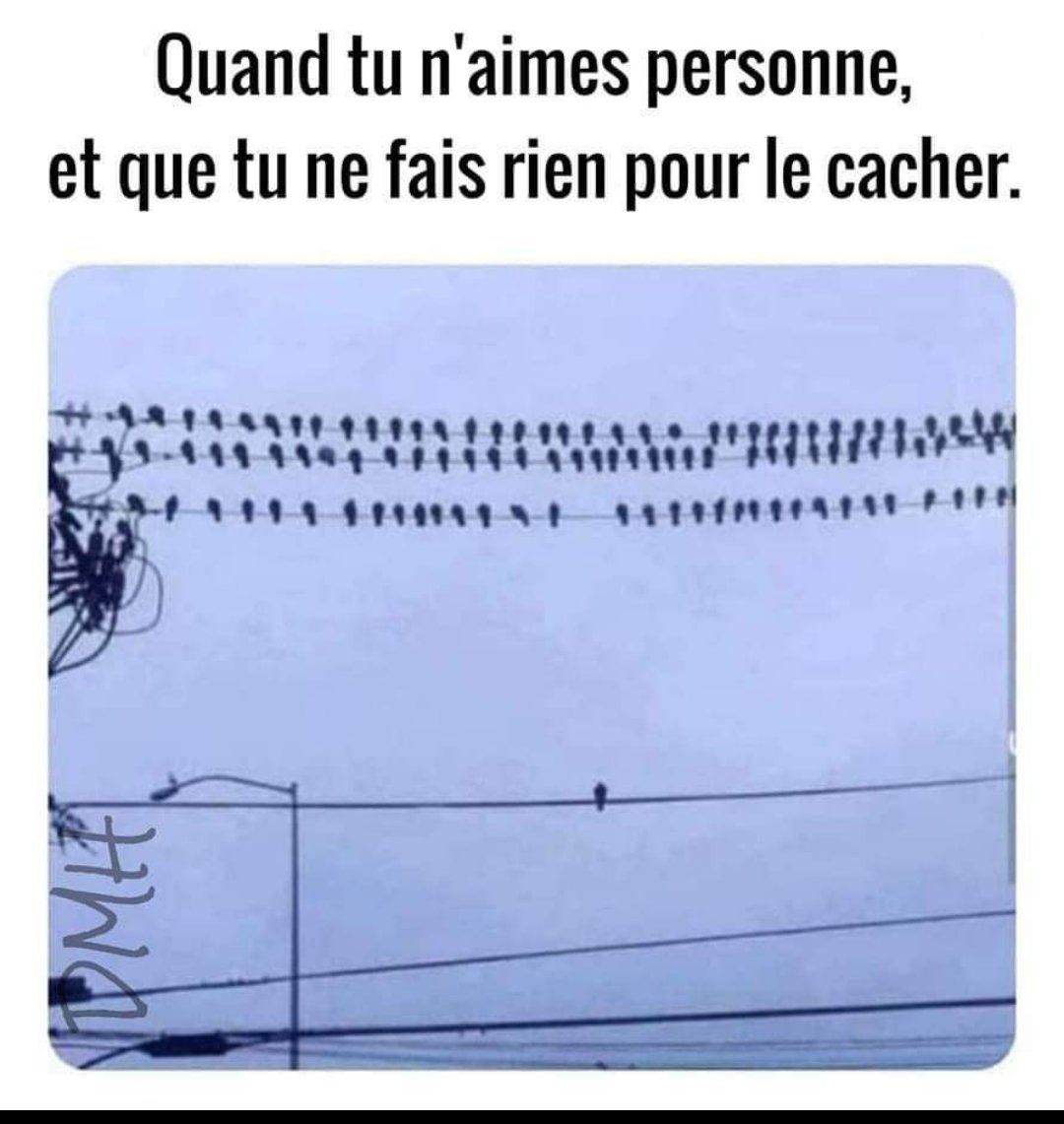 Airellemasse's tweet photo. 🤣
Je plaide coupable 🤣
#toutmoi https://t.co/HXPO0J8Rxl
