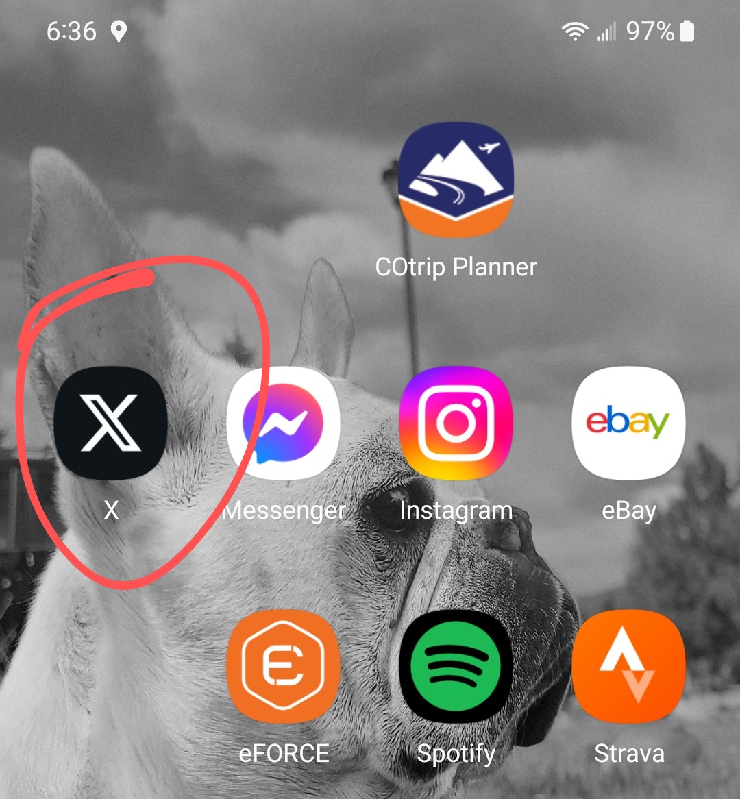 BMBehn's tweet photo. @_JaceMullen It now looks like a shady porn app. https://t.co/ISmzONV8ZI