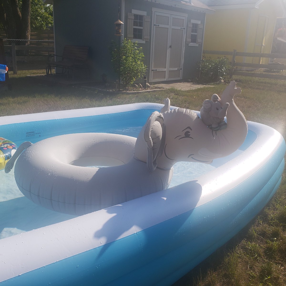 filtheelephant's tweet photo. Seems like a great day for a dip! #elephant  #float #swimming https://t.co/IYCpOcf5T3