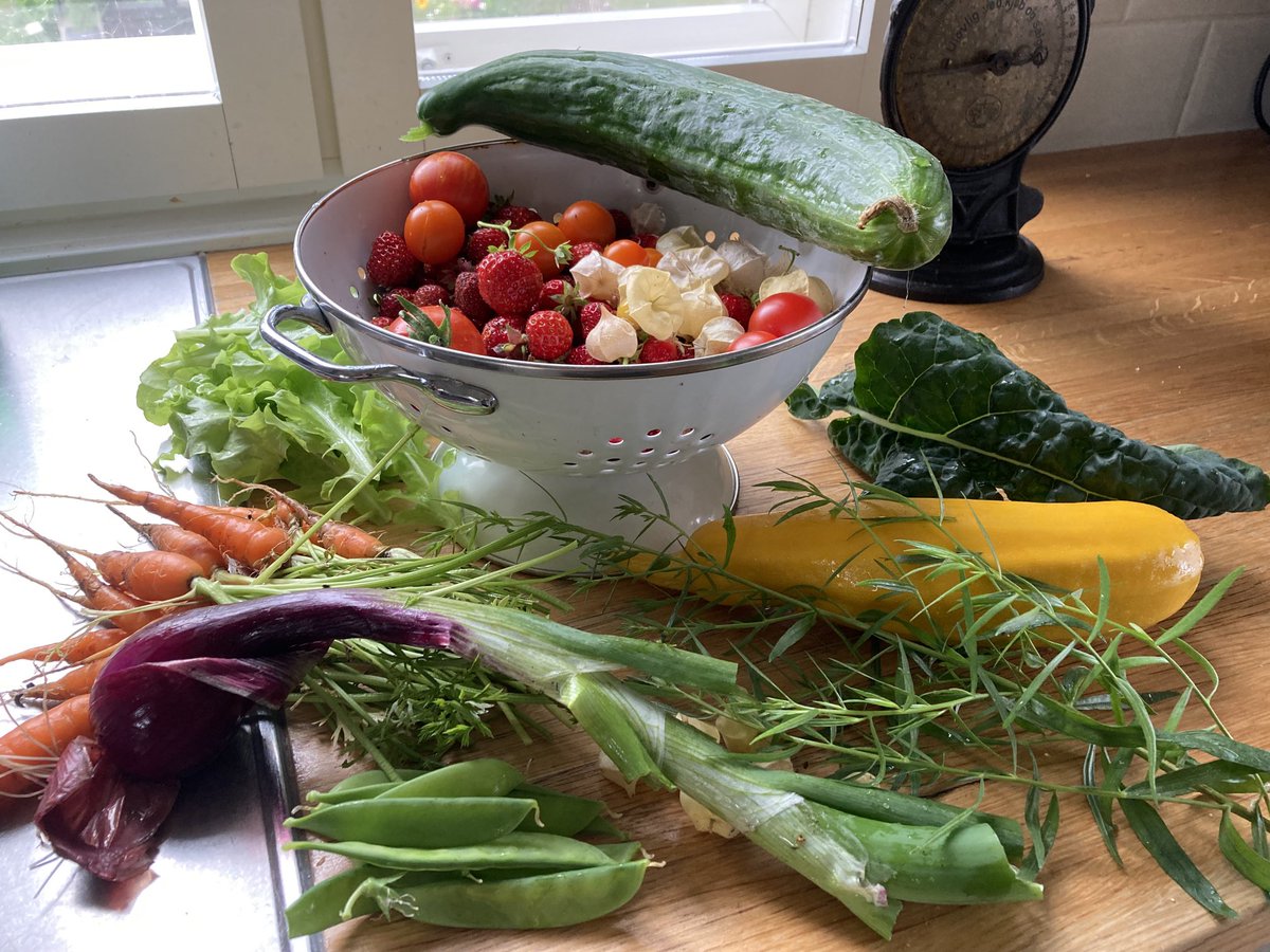 Se aika vuodesta, kun päivällinen löytyy pihamaalta ❤️