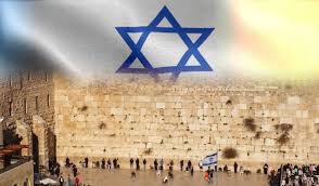 אלי דלל - eli dallal tweet media