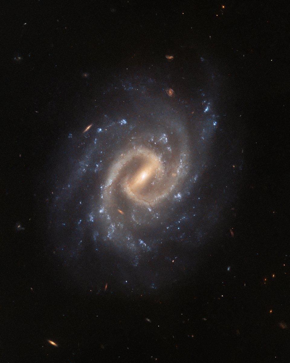 Kick off the weekend with a relaxing view of the tranquil galaxy UGC 12295.

Shining in this new #HubbleFriday image, UGC 12295 is 192 million light-years away in the constellation Pisces.

Discover more about this image: go.nasa.gov/3rN4nFd