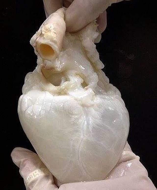 nursekate4's tweet photo. Sometimes one’s soul just needs to return home!  Happy to announce I will be joining the CHI CardioVascular Surgery Clinic in September!  Thanks Laura Fries Terry for making my soul happy again! https://t.co/68w68dZ4i2