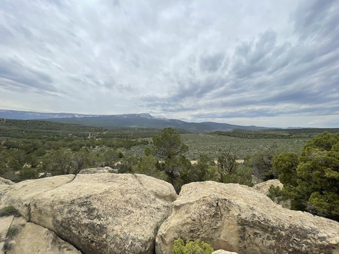 I feel like so many people talk about wanting to move to the hills or the woods etc and live off grid