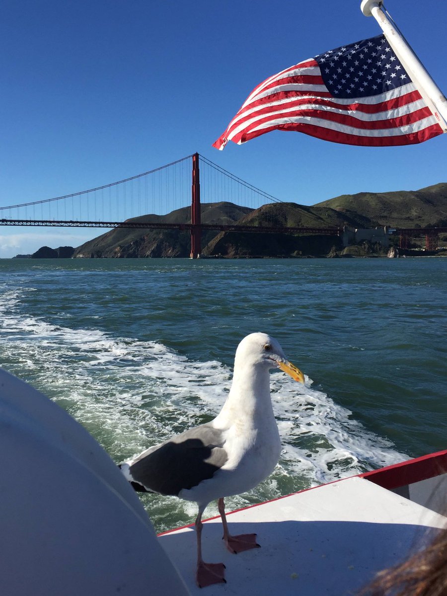AirSeaRail's tweet photo. San Francisco ⁦@Redwhitefleet⁩ https://t.co/btGbIOjtzp