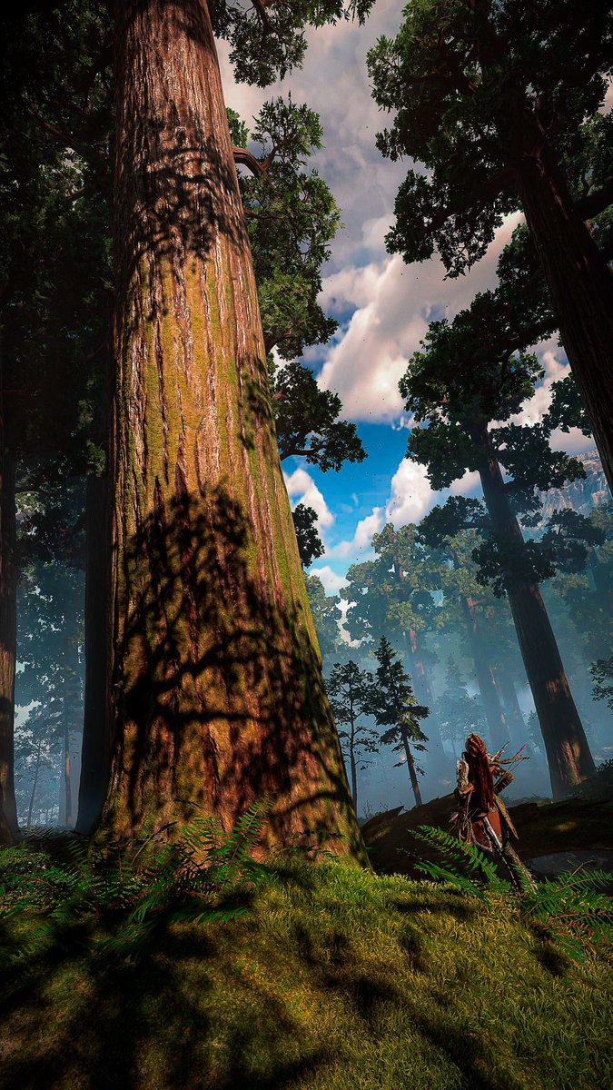 bcallaghan's tweet photo. #AloyFriday | #ForbiddenFriday   

"...that's a big tree..." - Aloy

#VirtualPhotography #VPRT #VGPUnite #WorldofVP #WIGVP #HorizonForbiddenWest #BeyondTheHorizon https://t.co/U3QQR9VP1k