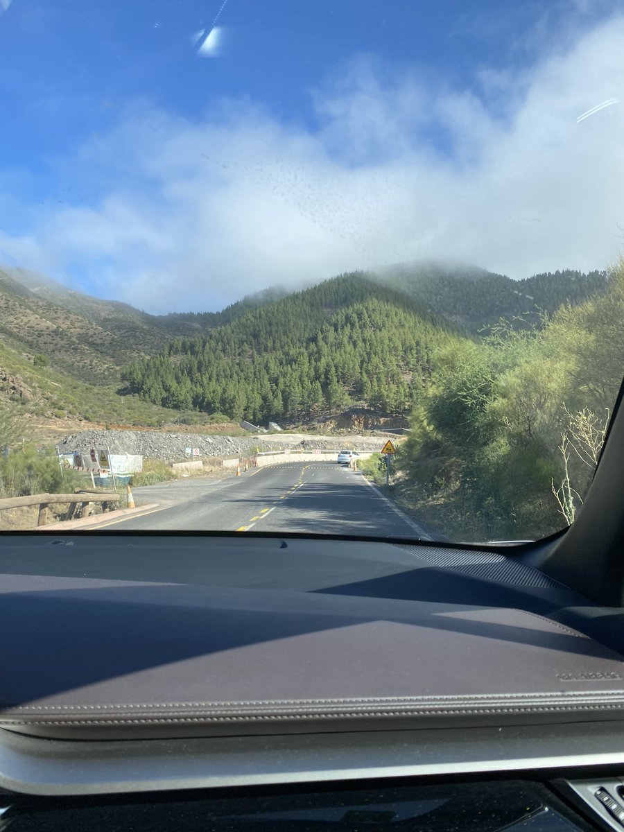 sunroof_inside's tweet photo. North of Tenerife in July! #travelblogger #xplorer #erasmusforyoungentrepreneurs #EIW2 https://t.co/TcOHzueYTw