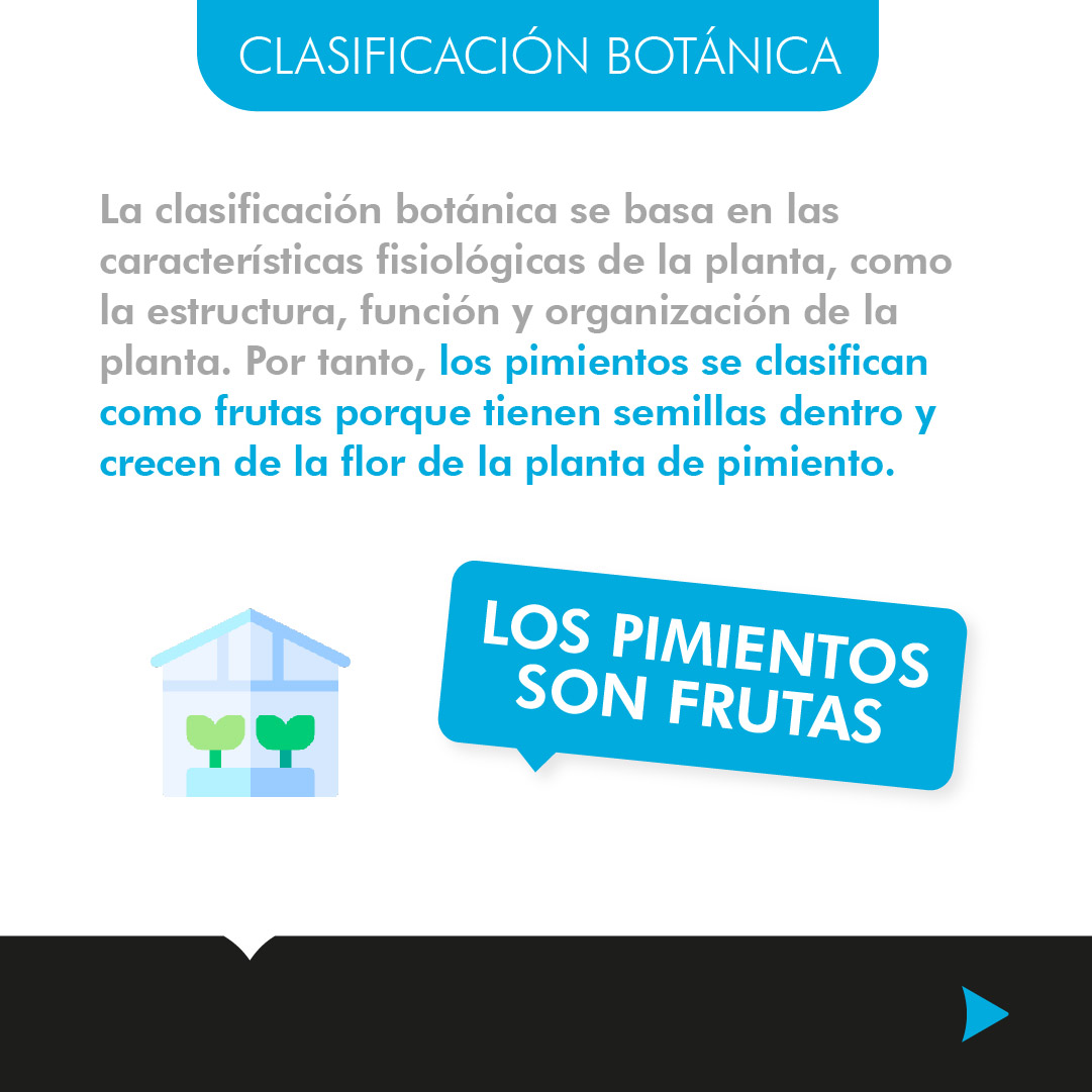 pabloa_ndsalud's tweet photo. ¡El pimiento 🌶️! Verde🟢, rojo🔴, amarillo🟡... ¿es una fruta o una verdura?
Curioso post con el que desearos ¡feliz fin de semana!
https://t.co/47mFXKuVu1
#NDSalud #PabloALopez #clinicadenutricion #nutricion #nutricionista #alimentacionsana #aprenderacomer #Huelva https://t.co/8kuSk5m4B4