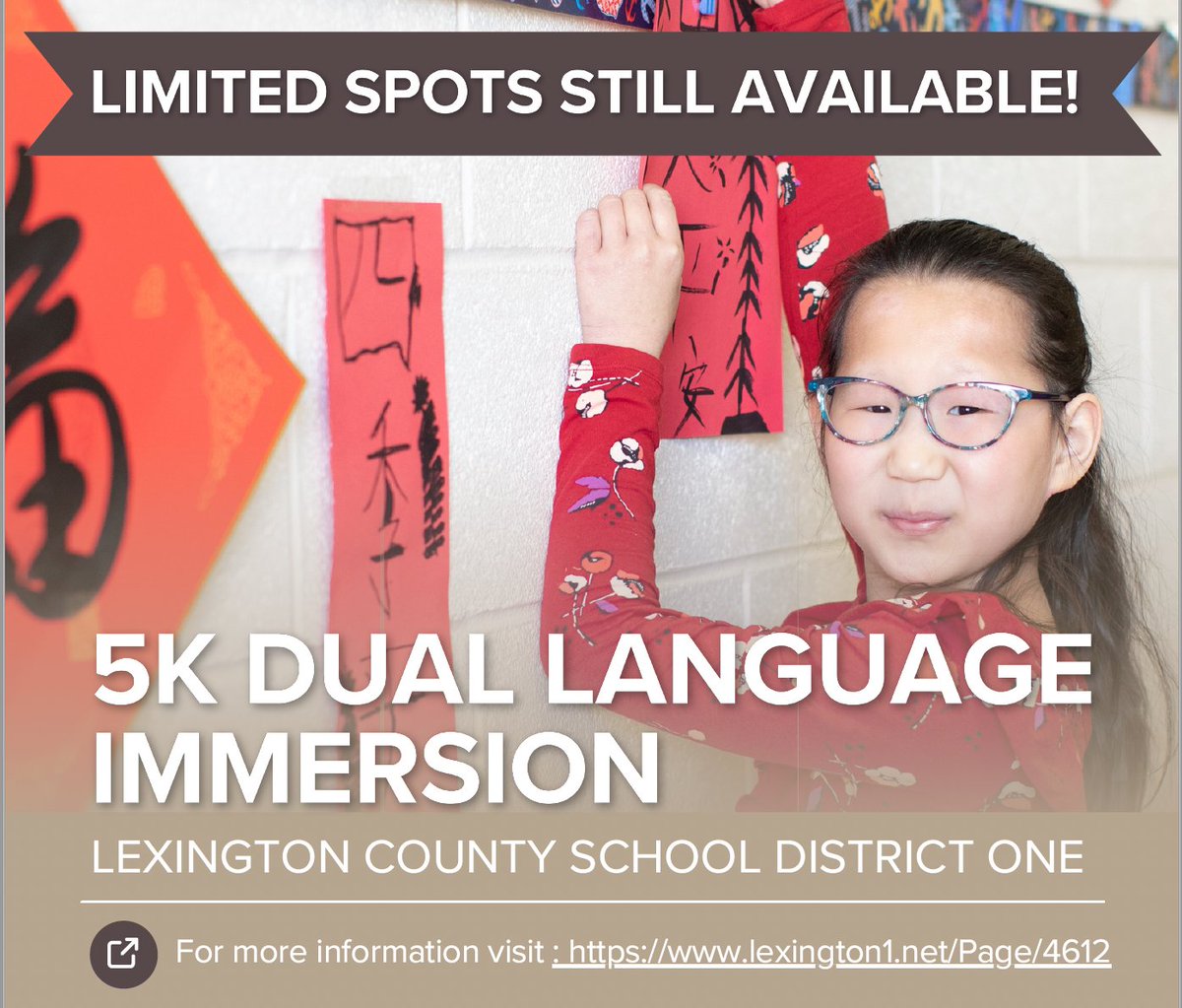 Lex1 World Languages tweet media