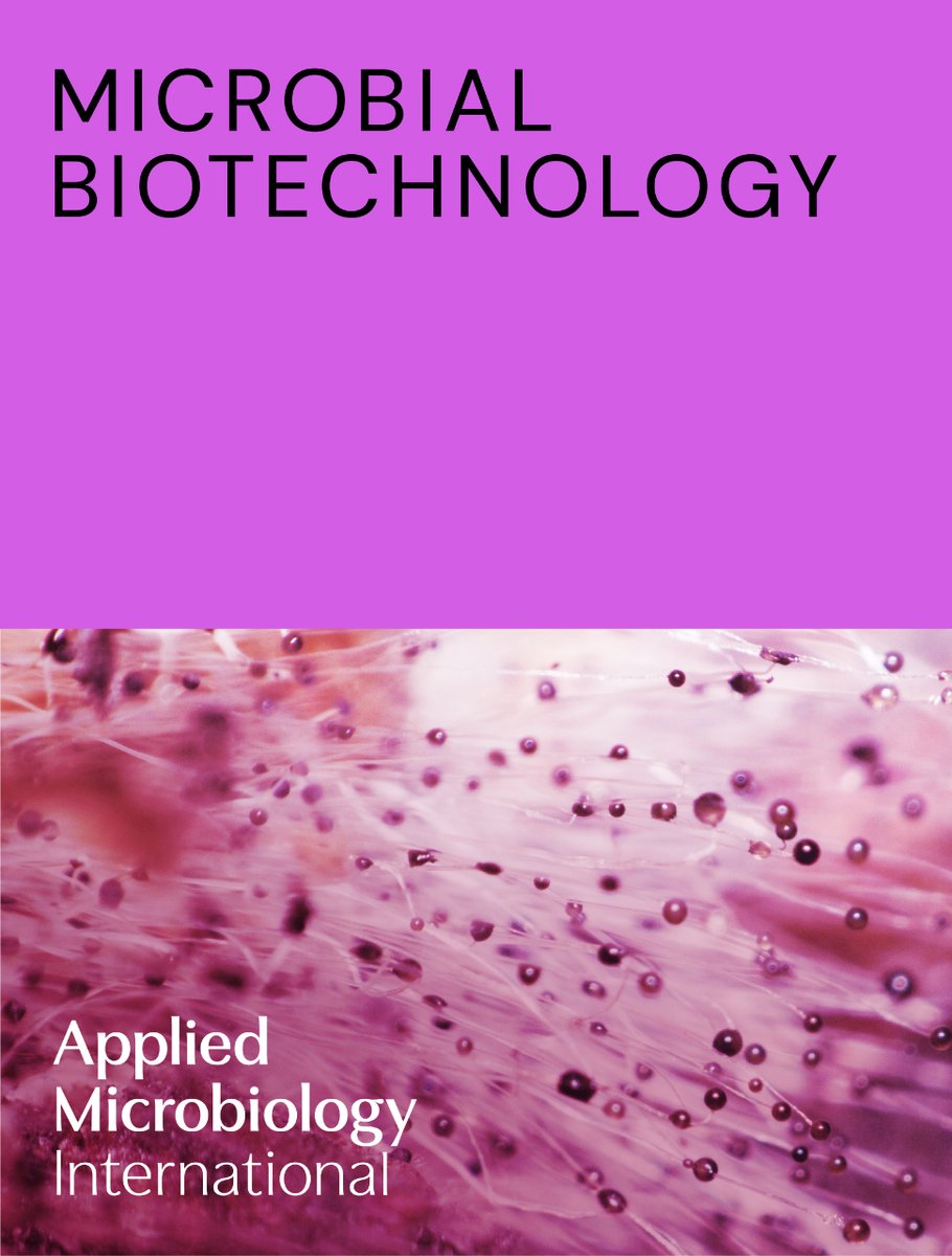 Microbial Biotechnology (MBT) (@microbialbiote1) on Twitter photo MBT 16:8 has just been released‼️ This is the 1️⃣ part of a Special Issue on END HUNGER: Enhancing Crop 🌾🌽 Yields with Microbes 🧫. Edited by <a href="/ramoslabgranada/">juan luis ramos</a> <a href="/DSalvachua/">Davinia Salvachúa</a> and <a href="/pbernal209/">Patricia Bernal</a>. Check out ➡️ ami-journals.onlinelibrary.wiley.com/toc/17517915/2… MBT 16:8 has just been released‼️ This is the 1️⃣ part of a Special Issue on END HUNGER: Enhancing Crop 🌾🌽 Yields with Microbes 🧫. Edited by <a href="/ramoslabgranada/">juan luis ramos</a> <a href="/DSalvachua/">Davinia Salvachúa</a> and <a href="/pbernal209/">Patricia Bernal</a>. Check out ➡️ ami-journals.onlinelibrary.wiley.com/toc/17517915/2…