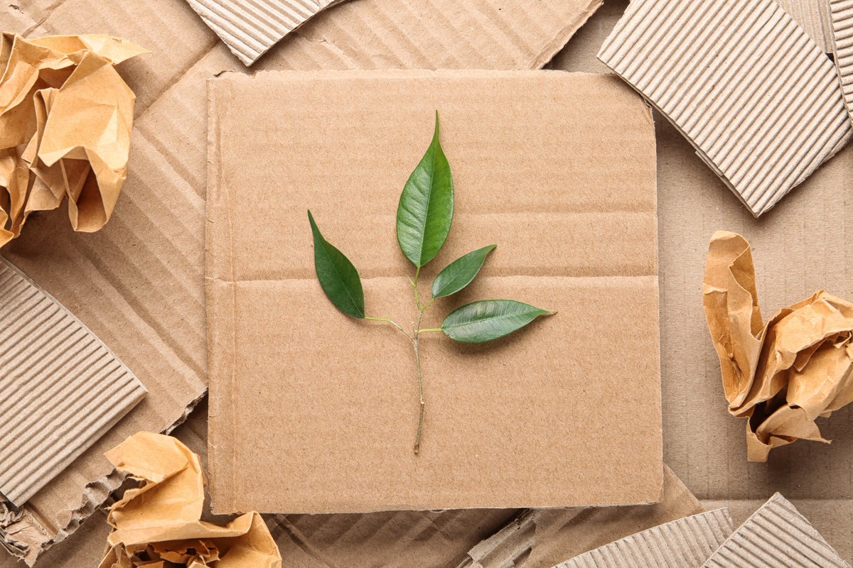 From right-sized packaging to recyclable materials, responsible delivery comes in many packages. Explore the options today.
ow.ly/p4m650Pn9H1