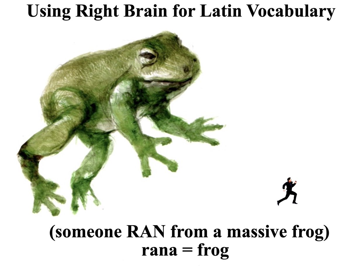CarolineLawrenc's tweet photo. You just missed my Zoom talk for @LatinProgramme #viafacilis on #LearningLatinWithAesopsFables. Shout-out to @carolinetutor for helping us learn #tandem with the Creative Right Brain! π #rana #timeo #LatinVocab https://t.co/HsQa7J2wfK