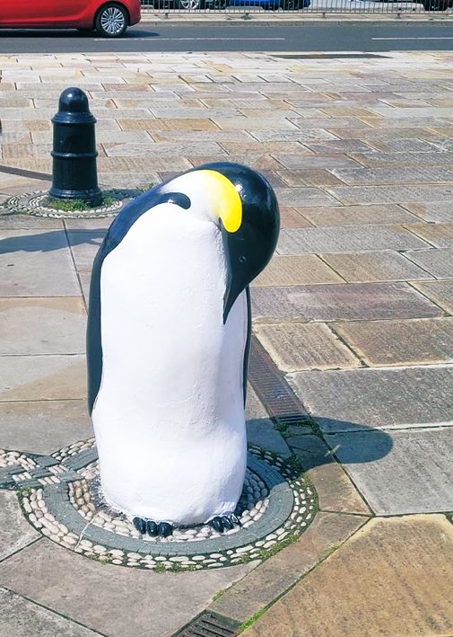 Penguin🐧Bollards are life.
#WorldBollardAssociation 
📸<a href="/Tartan_Bengoshi/">Mark Nicholson</a>