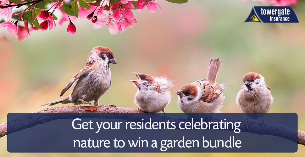 Our latest competition encourages care homes to share creatives such as poems, drawings, stories or memories around gardening and nature. To #win one of ten garden bundles, submit something creative that celebrates nature to caredivision@towergate.co.uk by Friday 11th August