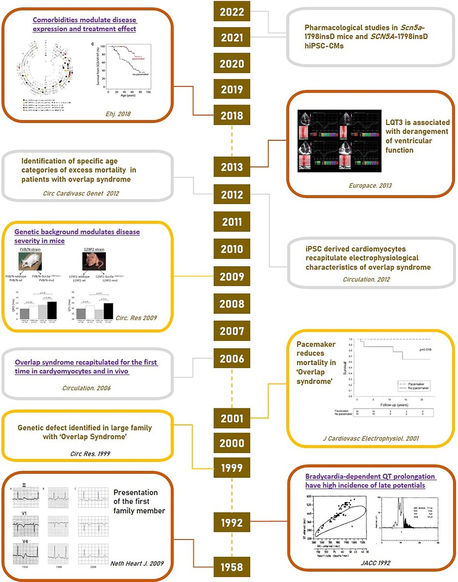 Our latest review summarizes 7 decades of clinical experience and over 20 years of translational research of the Dutch #SCN5A-1795insD founder #mutation

great overview by Virginnio Proost!

#cardiogenetics #SCD #ionchannels #arrhythmia <a href="/ArthurWilde5/">Prof. Arthur Wilde</a> 
link.springer.com/article/10.100…