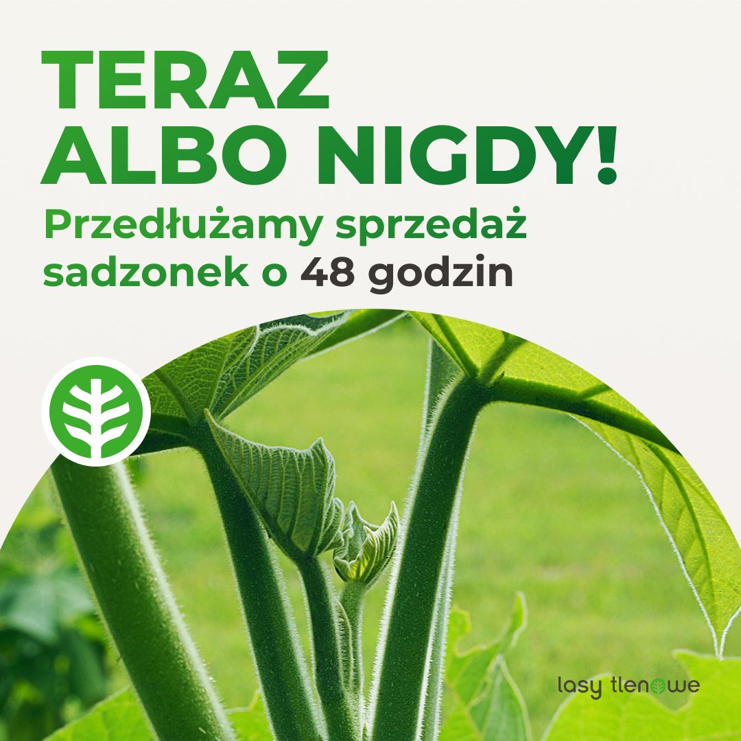 Nasze serwery nie wytrzymały! 😳

Przez ogromną ilość zamówień w ostatnich dniach, nie każdemu udało się zamówić własne drzewo tlenowe. Dlatego postanowiliśmy przedłużyć sprzedaż! 😍

Zamówienia przyjmujemy tylko do północy w niedzielę 👉 oxytree.pl/product/oxytre…

#ogród #rolnik