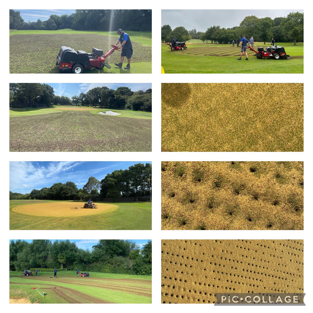 Verulam Greens tweet media