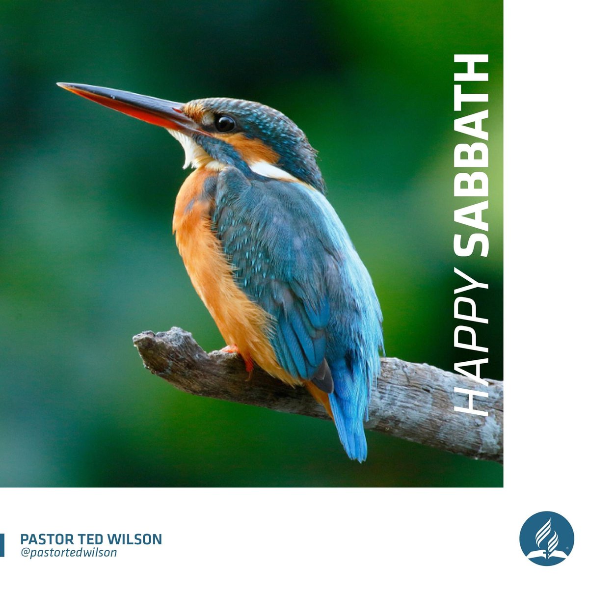 pastortedwilson's tweet photo. Happy Sabbath!

#Sabbath #HappySabbath https://t.co/puprp3MZEh