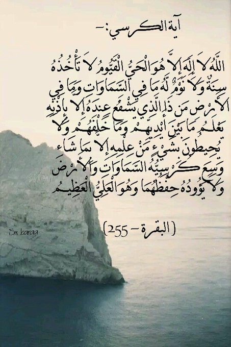 ExemptMutation's tweet image. 