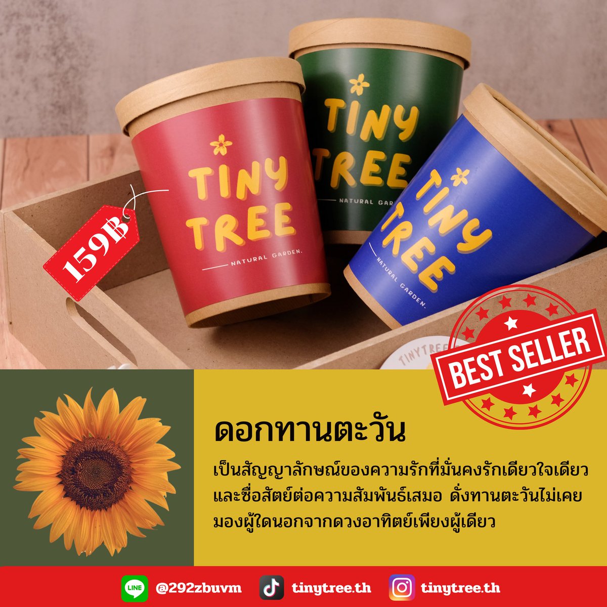 Tinytree.th tweet media