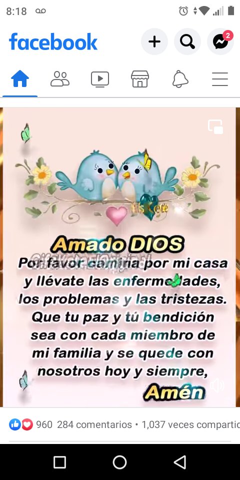 Juana Guzmán (@juana_guzman_r) on Twitter photo 